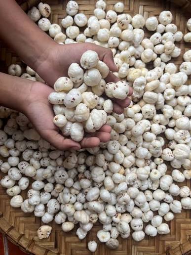 Makhana Fox Nuts